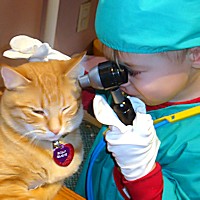Child Care Health Vet