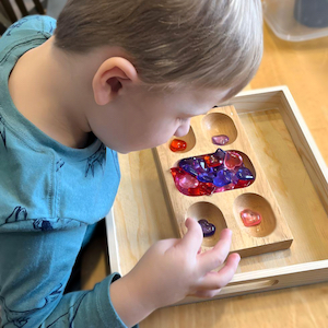 Boy Doing Sorting Activity