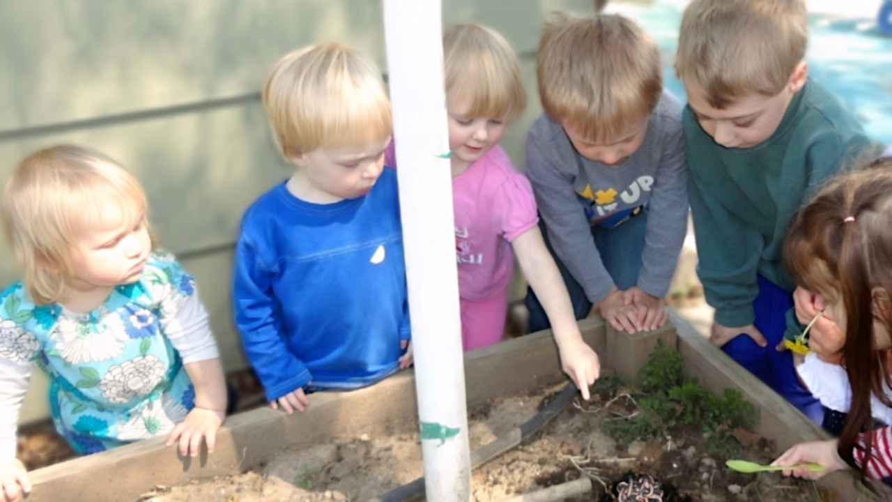Child Care Curriculum - Children Looking at Worms in Garden