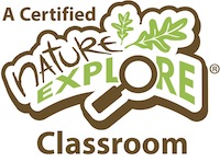 Daily Activities in a Nature Explore Classroom