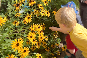 Child Care Enrollment - Child Loking at Butterfly