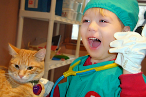 Child Care Health - Child Playing Doctor with a Cat