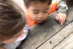 Child Care Schedule - Chidren Looking at a Bug