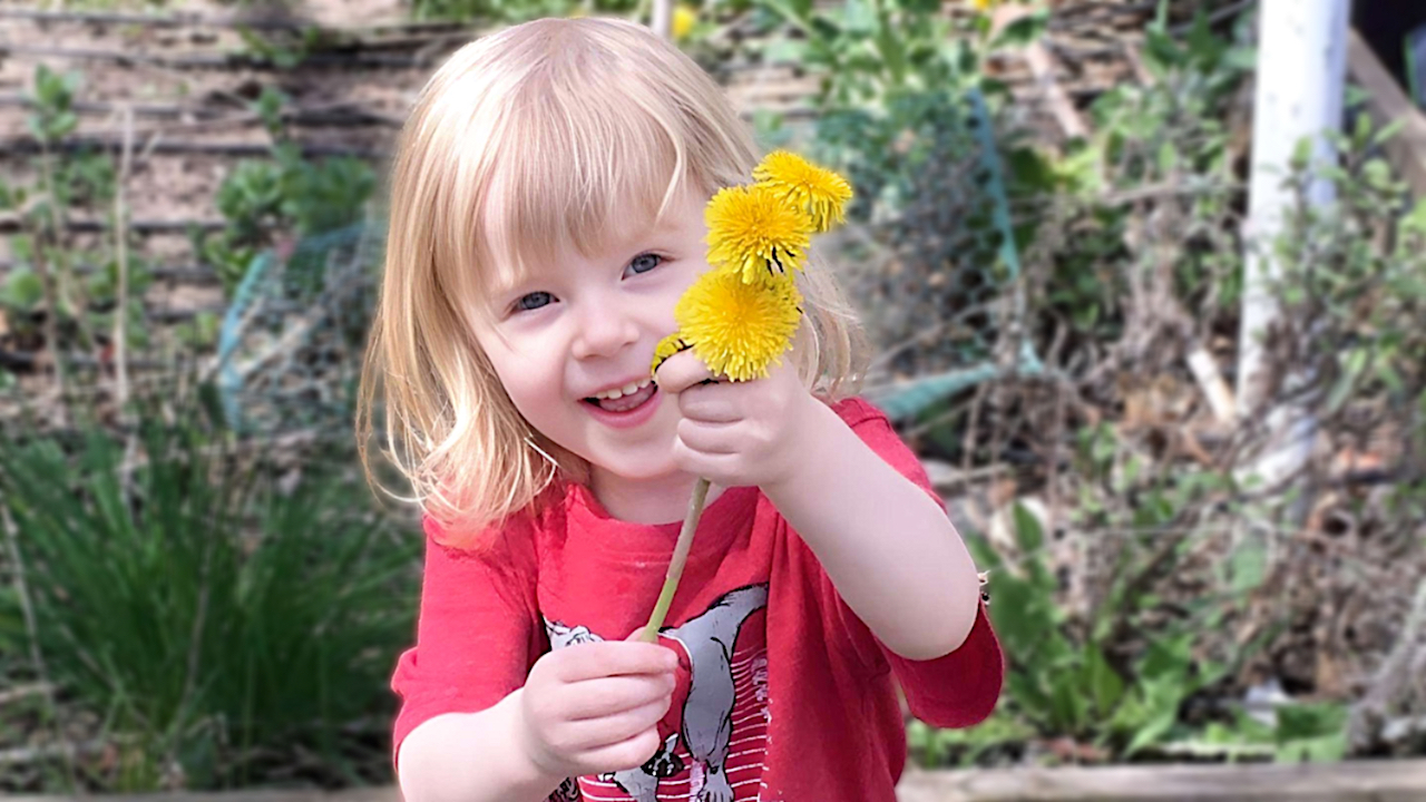 Family Child Care Program - Girl Holding Dandelions