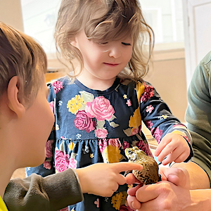 Free 4K Preschool - Preschool Children Touching a Live Frog