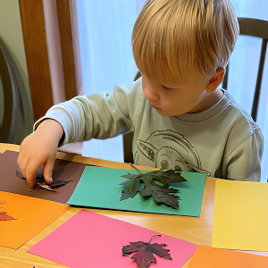 Nature Based Learning - Boy Matching Colored Leaves to Paper